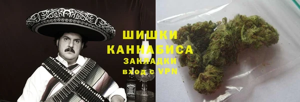 трава Корсаков