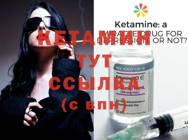 трава Корсаков