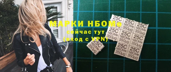 твердый Коряжма