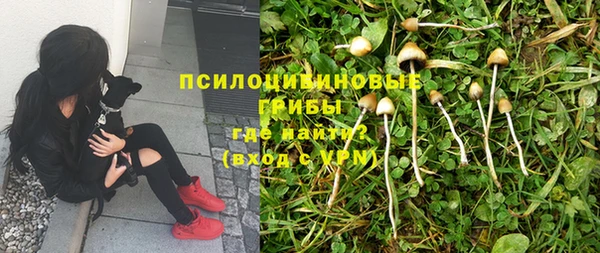 apvp Костерёво