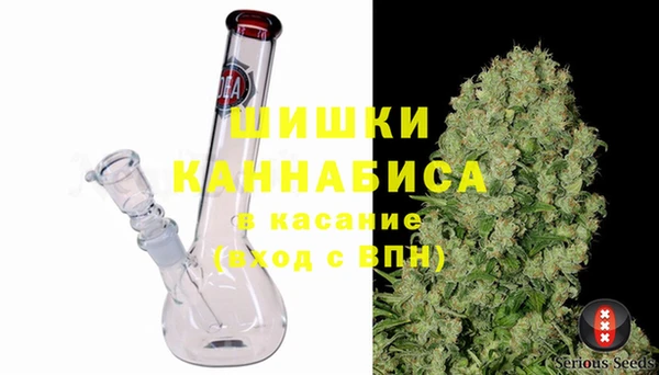 твердый Коряжма