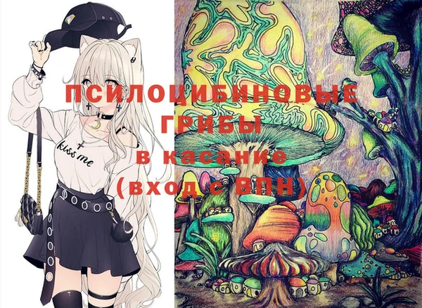 трава Корсаков