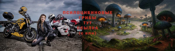 трава Корсаков