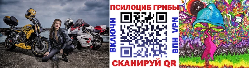 Псилоцибиновые грибы ЛСД как найти наркотики Мостовской